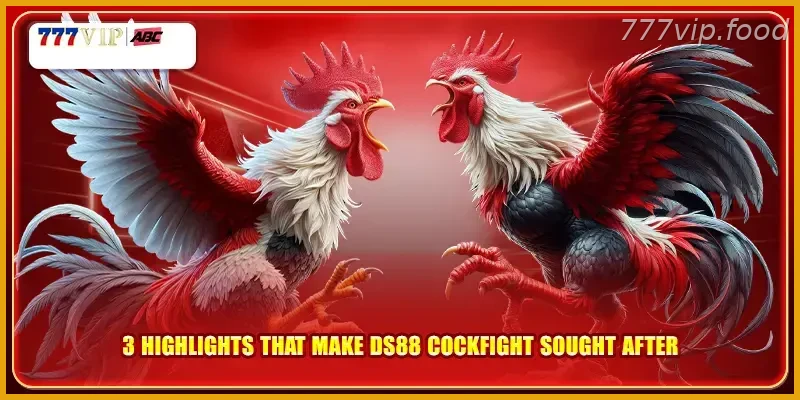 3 highlights that make DS88 cockfight with Real Action sought after