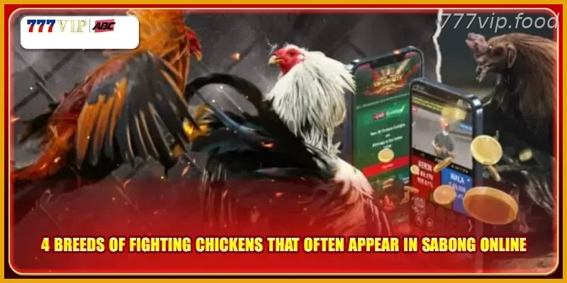 4 breeds of fighting chickens that often appear in sabong online with Real Action