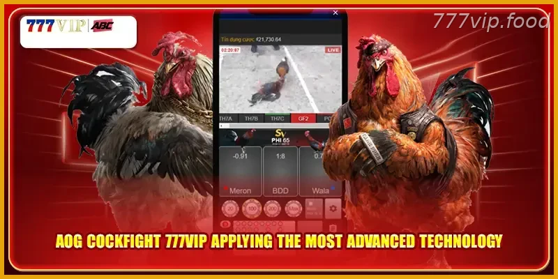 AOG Cockfight with Real Action 777VIP applying the most advanced technology