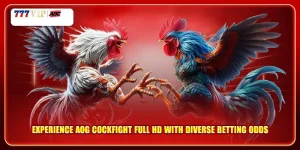 Experience AOG Cockfight Full HD with Diverse Betting Odds