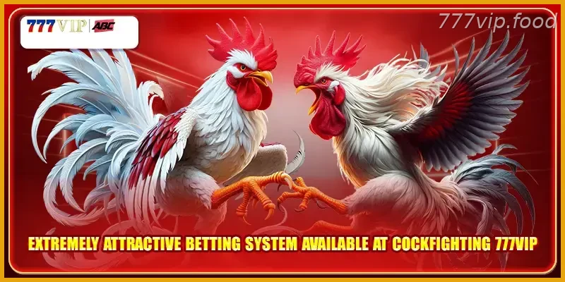 Extremely attractive betting system available at PH Player Guide: Cockfighting 777VIP