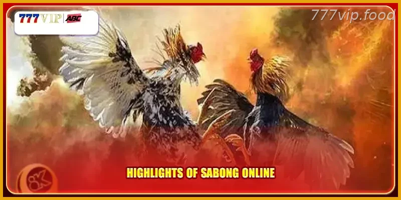 Highlights of sabong online with Real Action