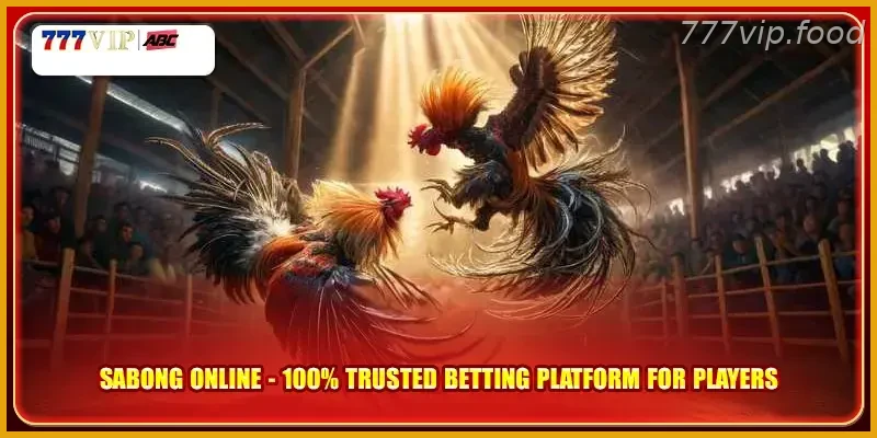 Sabong Online 100% Trusted Betting Platform for Players