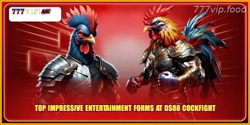 Top impressive entertainment forms at DS88 cockfight with Real Action